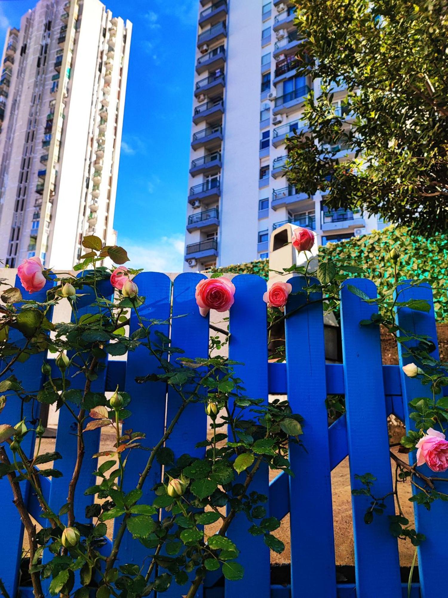 House Apartment Torretta 리예카 외부 사진
